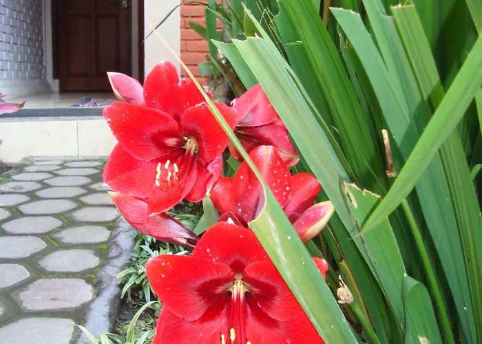 Taman Ayu Mitra Reddoorz Munduk